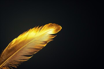 Golden feather on black background, old exquisite golden feather