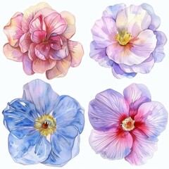 set of watercolor flowers