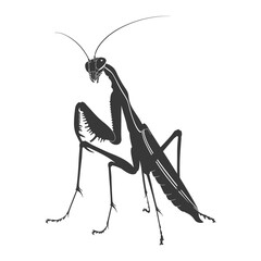 Silhouette mantis animal black color only full body