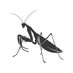 Silhouette mantis animal black color only full body - obrazy, fototapety, plakaty