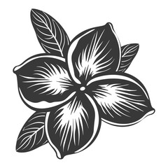 Silhouette plumeria flower black color only vector - obrazy, fototapety, plakaty