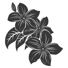 Silhouette plumeria flower black color only vector