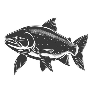 recommend clip art: Silhouette salmon fish animal black color only full body