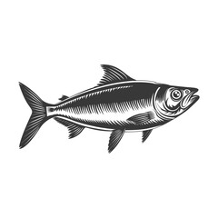 Obraz premium Silhouette sardine fish animal black color only full body