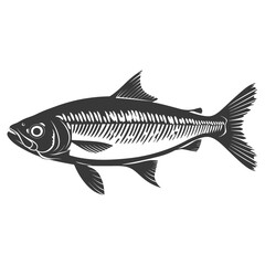 Silhouette sardine fish animal black color only full body