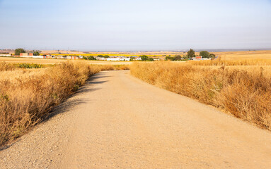 Camino del Sur - dirt road through agricultural fields between Huelva and Trigueros, province of Huelva, Andalusia, Spain
