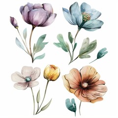set of watercolor flowers