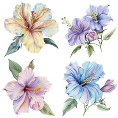 Fototapeta premium set of watercolor flowers