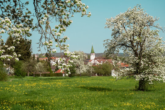 south germany village at spring