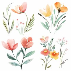Obraz premium set of watercolor flowers