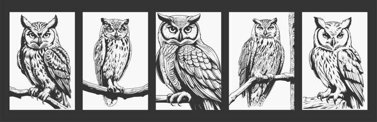 Owl line art vector illustrations in a collection