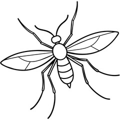 bee on white background