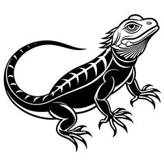  Dragon lizard icon