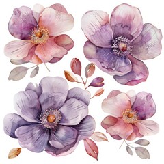 set of watercolor flowers