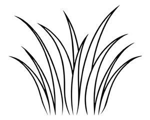 A bunch of grass vector illustration