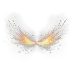 Background with fire wings, feathers isolated on white background png