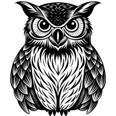 owl-illustration