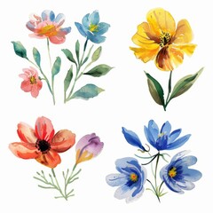 Fototapeta premium set of watercolor flowers