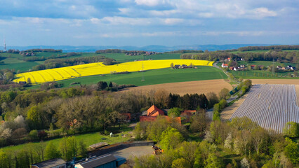 Aerial drone view of asparagus fields and yellow rapeseed fields in German countryside.