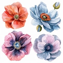 set of watercolor flowers
