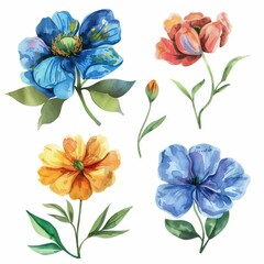 set of watercolor flowers