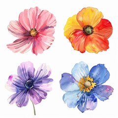 set of watercolor flowers