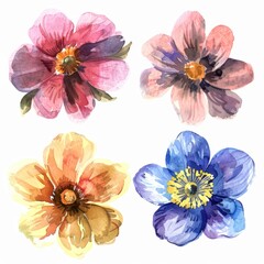 set of watercolor flowers