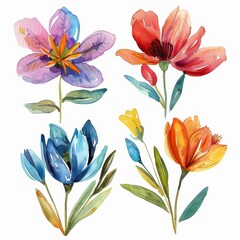 set of watercolor flowers