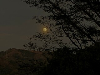 Fototapeta premium Noche de Luna 