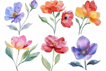 set of watercolor flowers