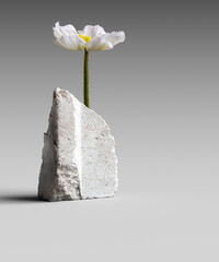 Flower exhibition background with stone 3d rendering, product display mockup - 783339256