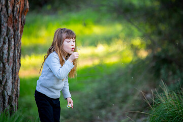 Cute blonde girl has fun blowing on the chicory plant in the park in the spring.