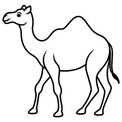 camel background vector illustration