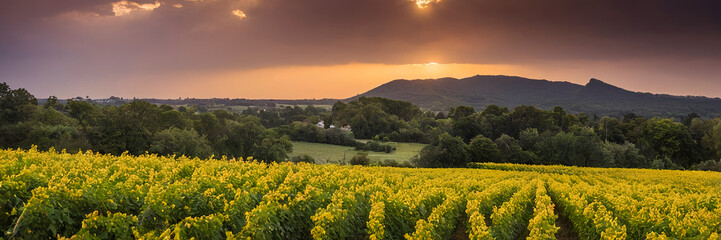 sunset in the mountains