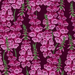 Seamless pattern with foxglove flowers. Vector.