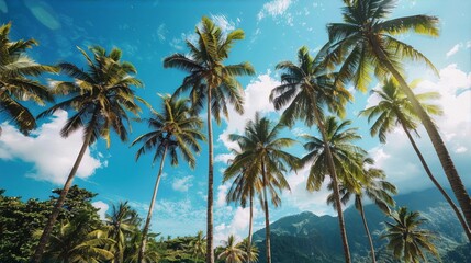 Coconut trees against a bright blue sky and white clouds convey a tropical paradise, evoking relaxation and summer