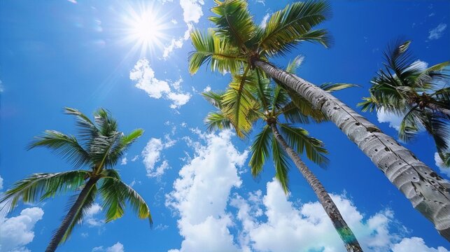 Sun-kissed coconut trees against cerulean sky convey a tropical paradise, eliciting wanderlust and serenity, in photography, with a hint of retro and vintage aesthetics.