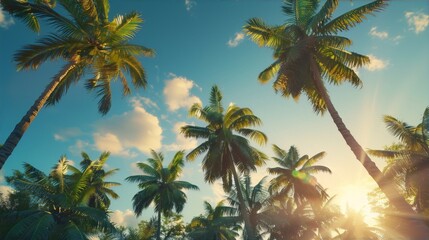 Sun rays filtering through the tall coconut trees with green leaves and blue sky in the background in a realistic painting style