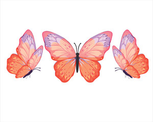 orange butterfly three orngee dark.eps
