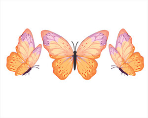 watercolor orange hand drawn design vector