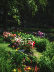 garden with flowers