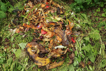 Compost pile in garden close up. Bio waste, vegetables fruits scraps background, texture. Zero...