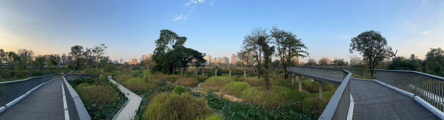 Fototapeta na wymiar Benchakitti Forest Park panorama in Bangkok