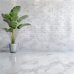 A potted plant on a white tiled floor