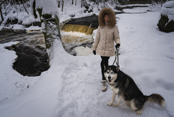 A woman with a husky dog ​​in the forest at a waterfall in winter.