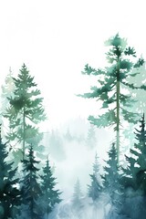 Misty forest with trees in fog
