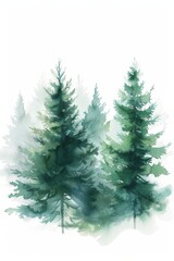 Three evergreen trees watercolor painting on white background - obrazy, fototapety, plakaty