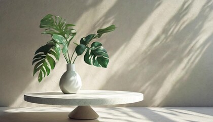 realistic 3d render a white round coffee table with green decor leaf plants in a vase with morning sunlight and beautiful foliage leaves shadow on beige wall background mock up products overlay