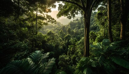 earth day eco concept with tropical forest background natural forestation preservation scene with...