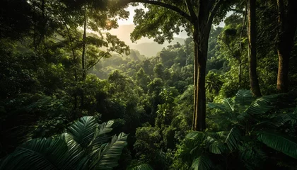 Deurstickers earth day eco concept with tropical forest background natural forestation preservation scene with canopy tree in the wild concept on sustainability and environmental renewable © Nathaniel